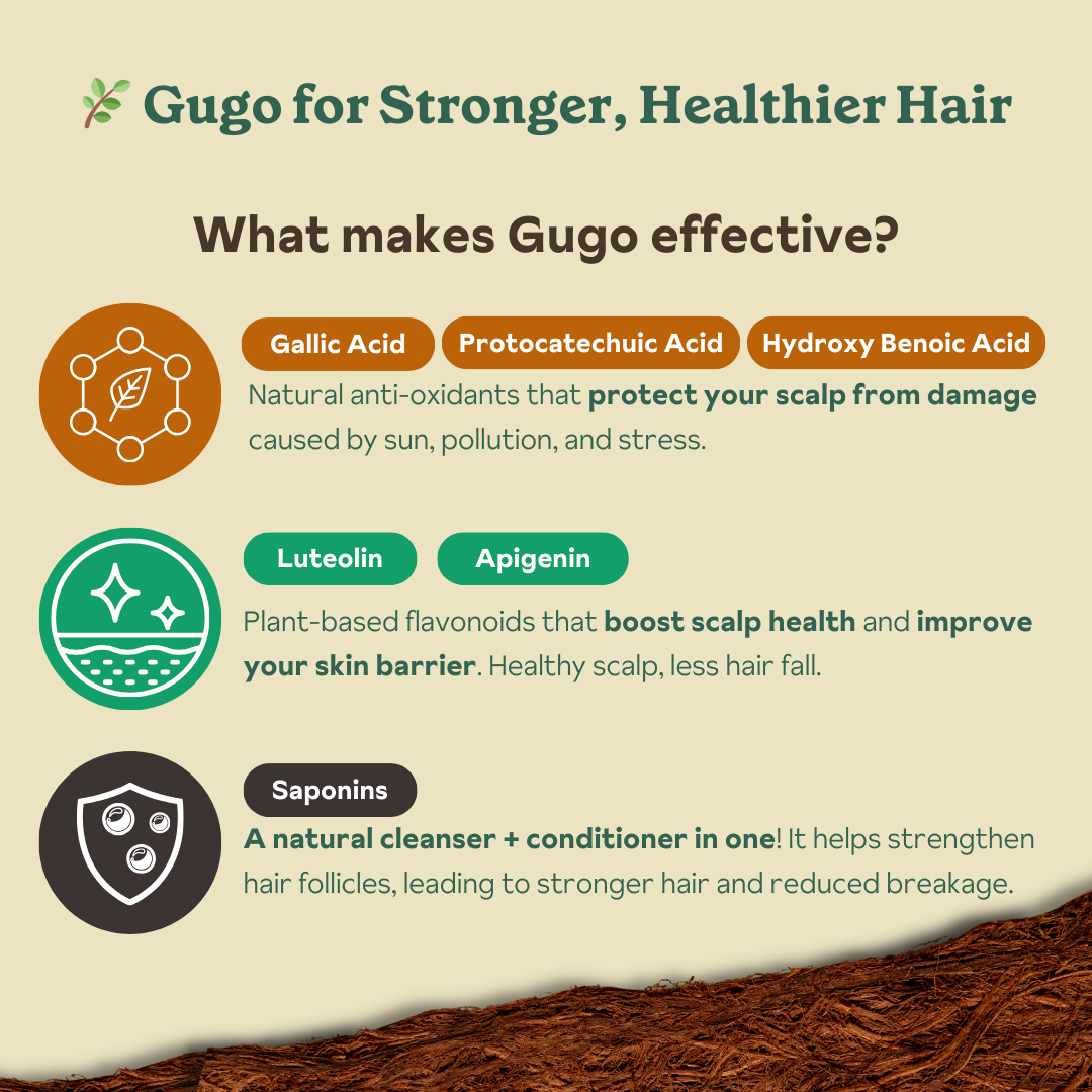Zenutrients Gugo - Powered Hairfall Defense Shampoo 250ml