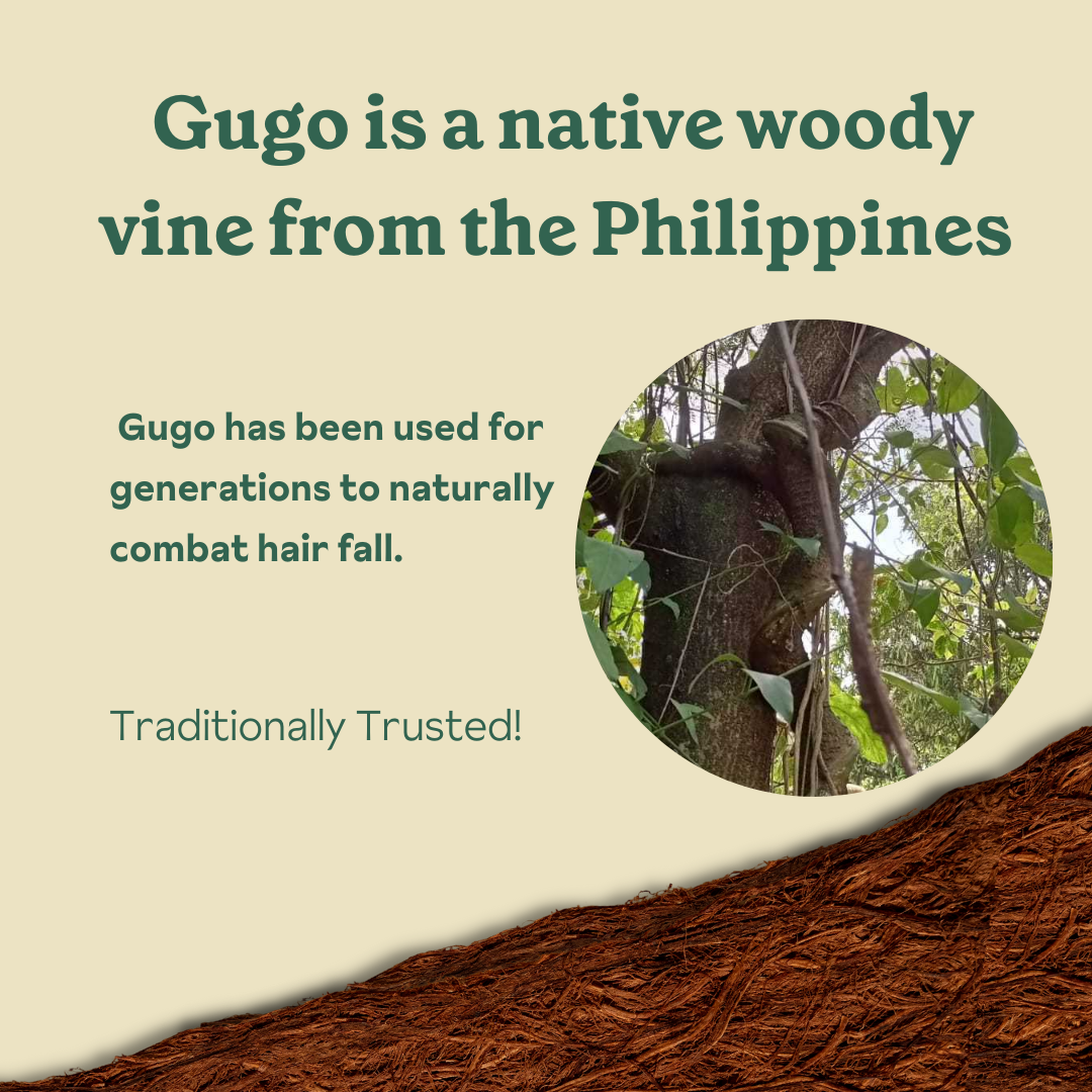 Zenutrients Gugo - Powered Hairfall Defense Shampoo 250ml